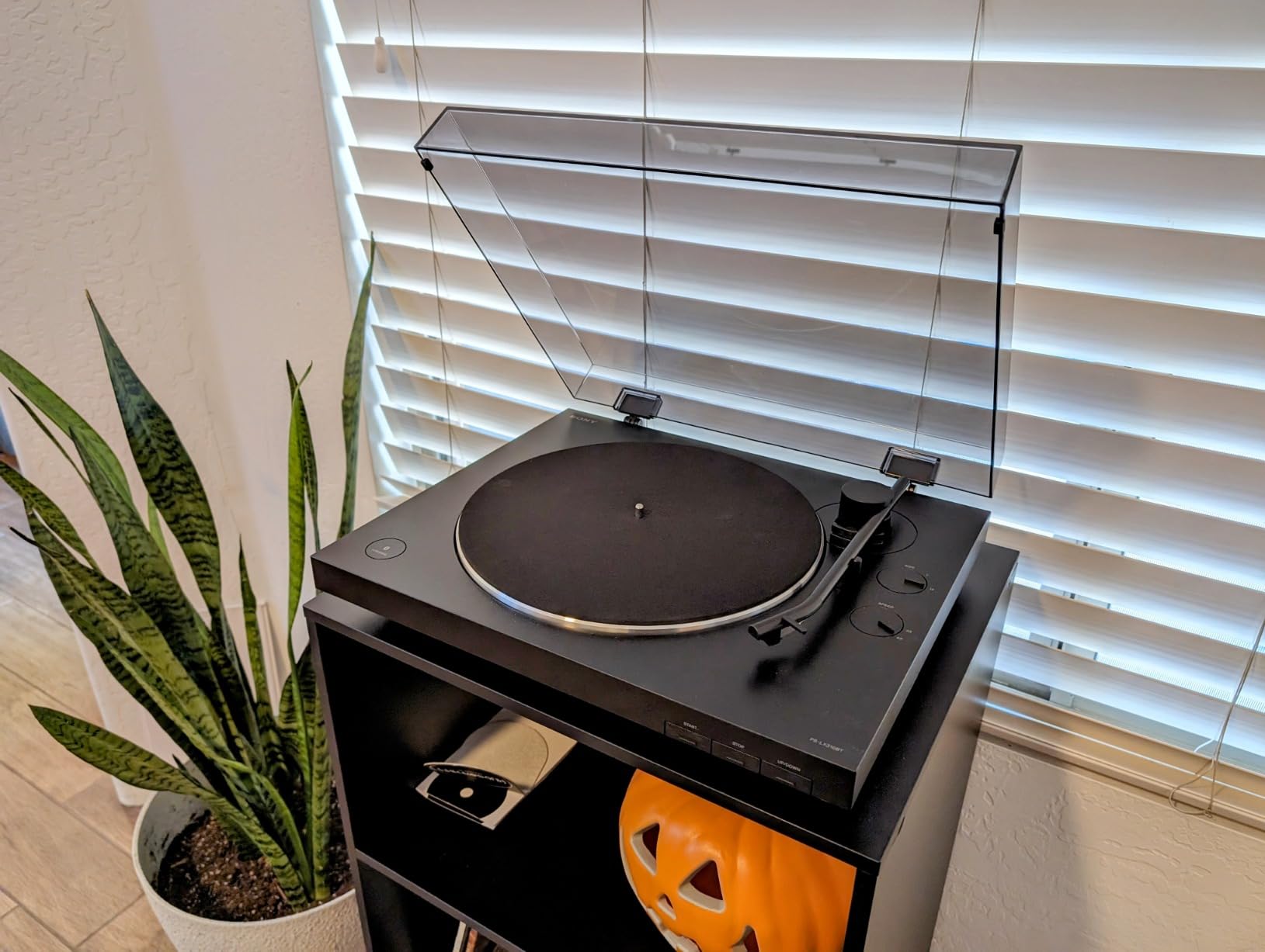 Sony PS-LX3BT Wireless Bluetooth Turntable (2026 Model): Fully Automatic Belt Drive Vinyl Record Player with Built-in Phono EQ customer photo 1