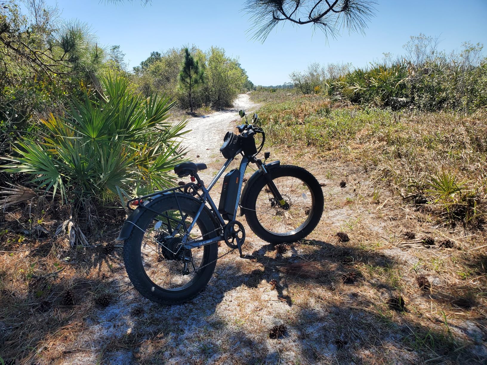 Electric Bike for Adults, 1000W Peak 20MPH 60Miles Ebike,48V 13AH Battery Electric Mountain Bike, 26