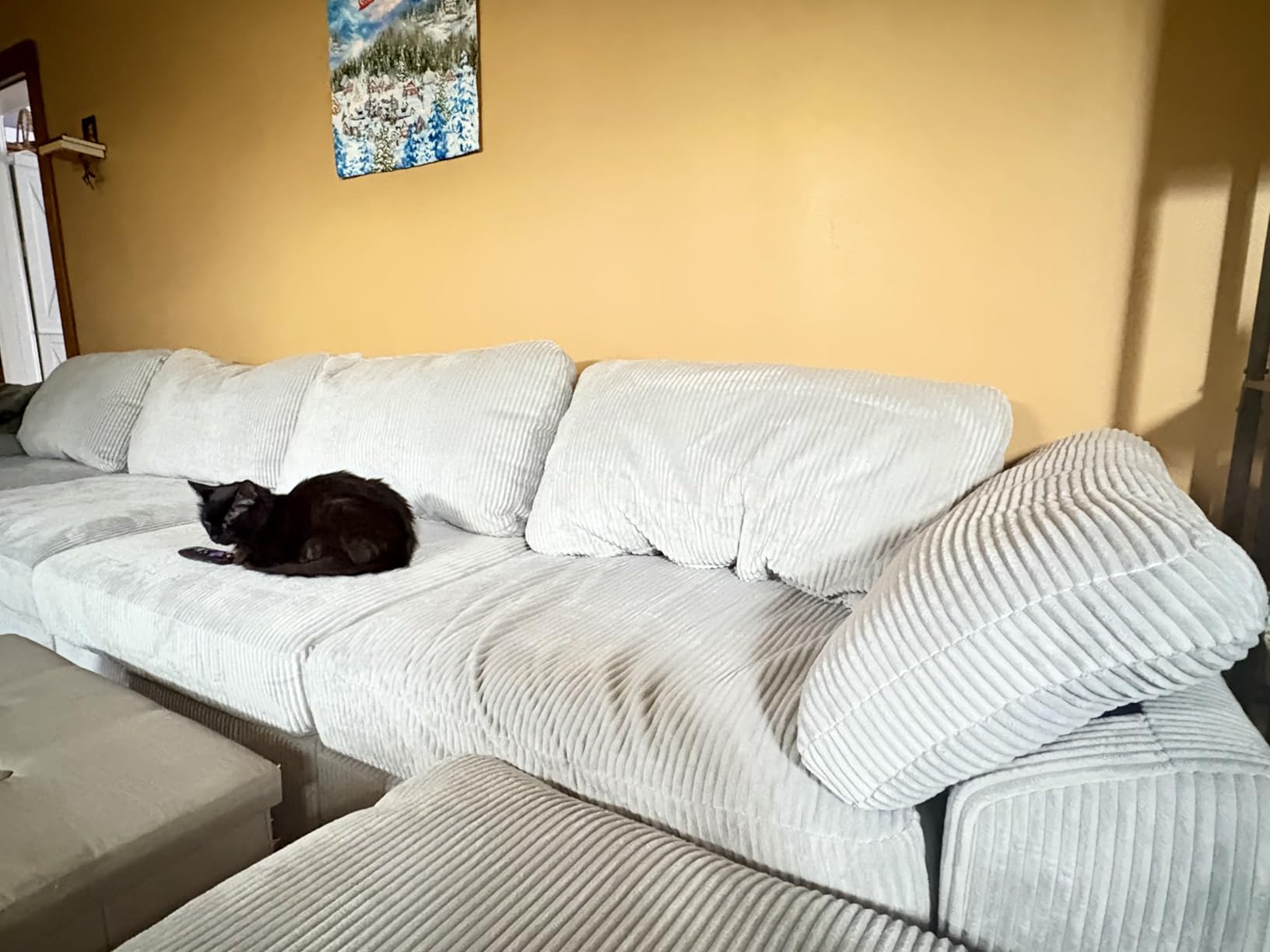 EASE MOOSE Oversized L Shape Sectional Modular Sofa,Wide Deep seat Sectional Sofa,FSC Certified Comfortable Chenille Grey Cloud Modular Sofa customer photo 1