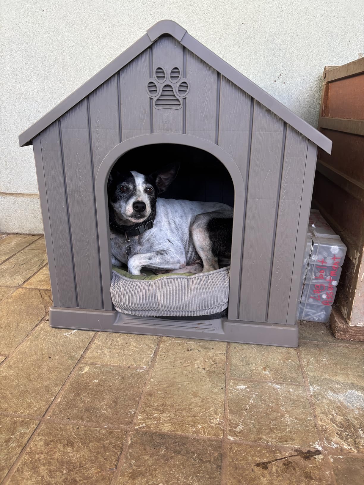 Bifanuo Outdoor Indoor Dog House for Small & Medium Dogs - Weatherproof Shelter with Elevated Floor, Hidden Vents & Tool-Free Assembly (Classic Grey, 26.18