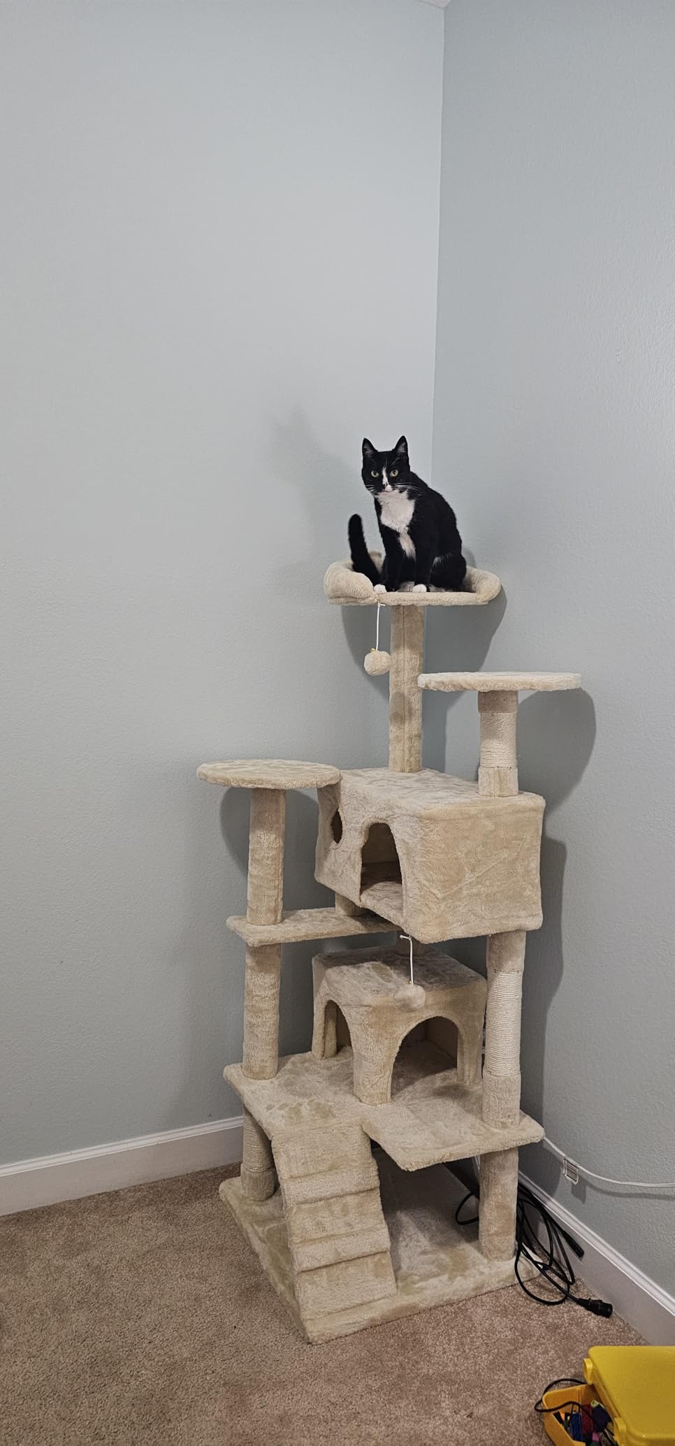 DUMOS 54-inch Indoor Cat Tree Tower - Multi-Level Pet House for Large Cats with 2 Condos, Scratching Posts, Round Platform, Small Ladder, and Toys - Perfect for Cats of All Ages, Dark Grey customer photo 1
