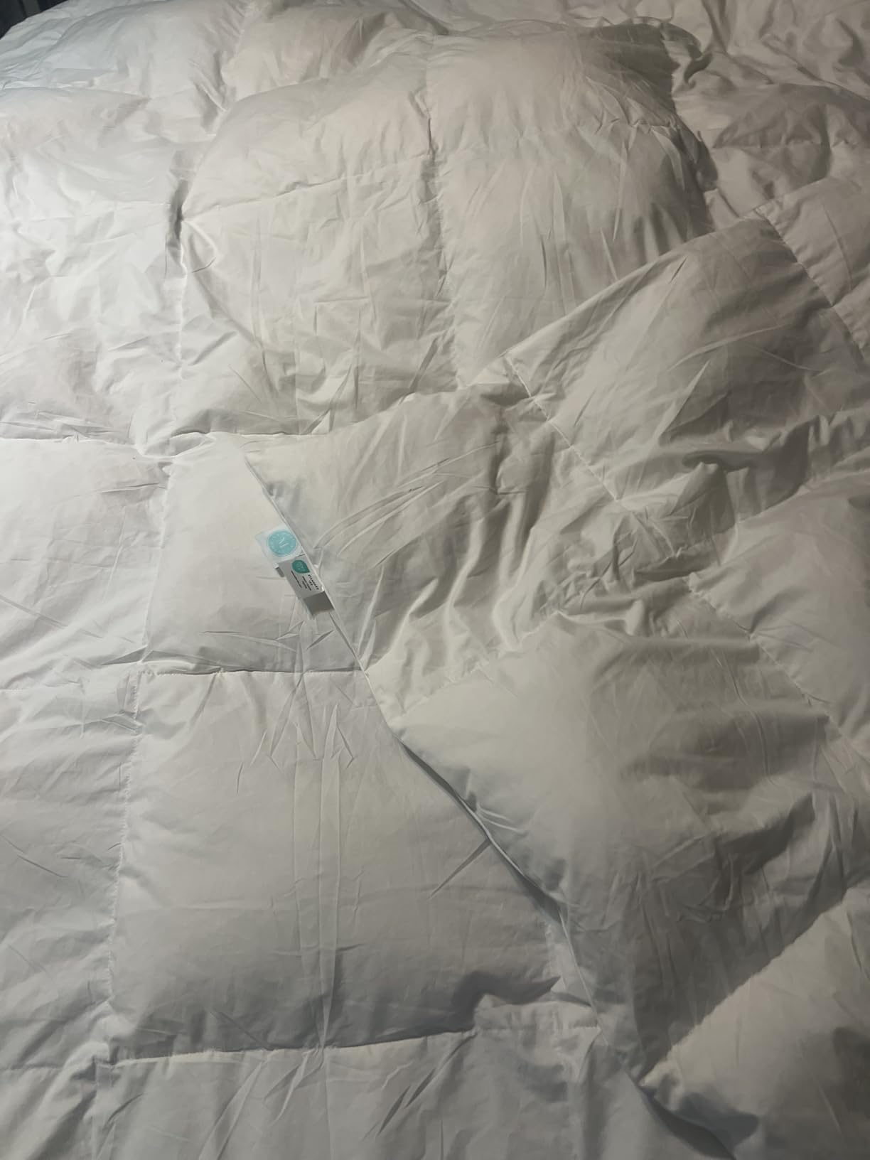 Martha Stewart Luxury White Goose Feathers Down Fiber Duvet Insert Queen Size - Hotel Collection 100% Cotton Comforter, All Season Medium Warmth, Breathable, Hypoallergenic, 90 x 90 Inch customer photo 2
