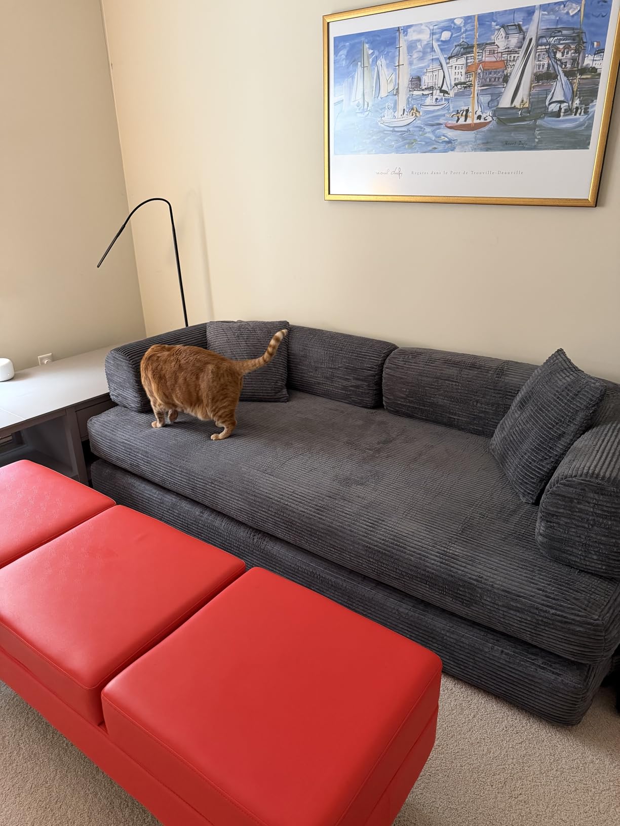 GarveeHome 79