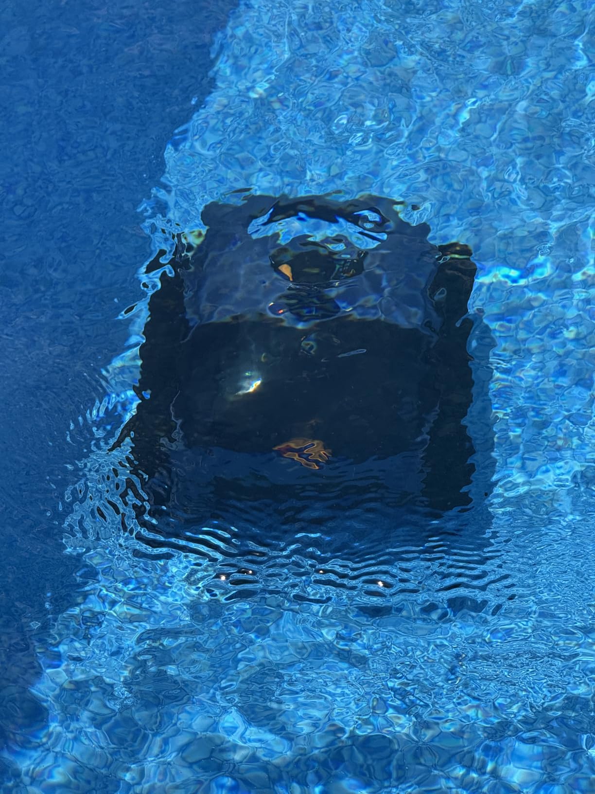 Cordless Robotic Pool Vacuum with Smarter Navigation & Track Drive, Dual 180W Brushless Motors, Wall & Waterline Climbing, 150-Min Runtime, for Inground & Above-Ground Pools up to 2,150 Sq. Ft. customer photo 2