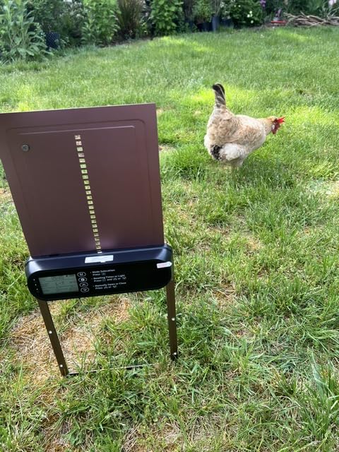Automatic Chicken Coop Door Solar Powered, LCD Screen Electric Auto Chicken Coop Door with Timer & Light Sensor, Aluminum Rechargeable Automatic Chicken Door Opener with Remote Control & 4 Modes customer photo 2
