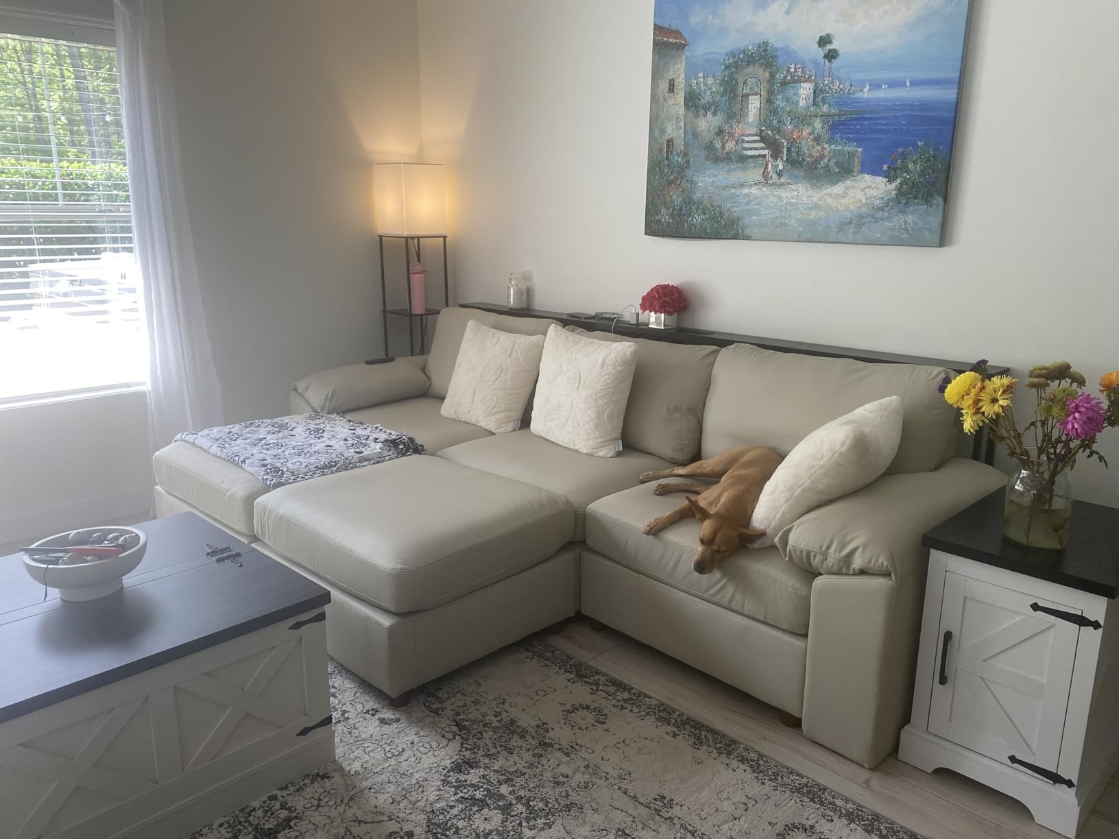 EASE MOOSE Oversized Modular Sectional Sofa,Leather Sectional Couch with Wide Deep Seat,Scratch Resistant Faux Leather Material,L Shaped Sofa for Big Spaces,Beige customer photo 2