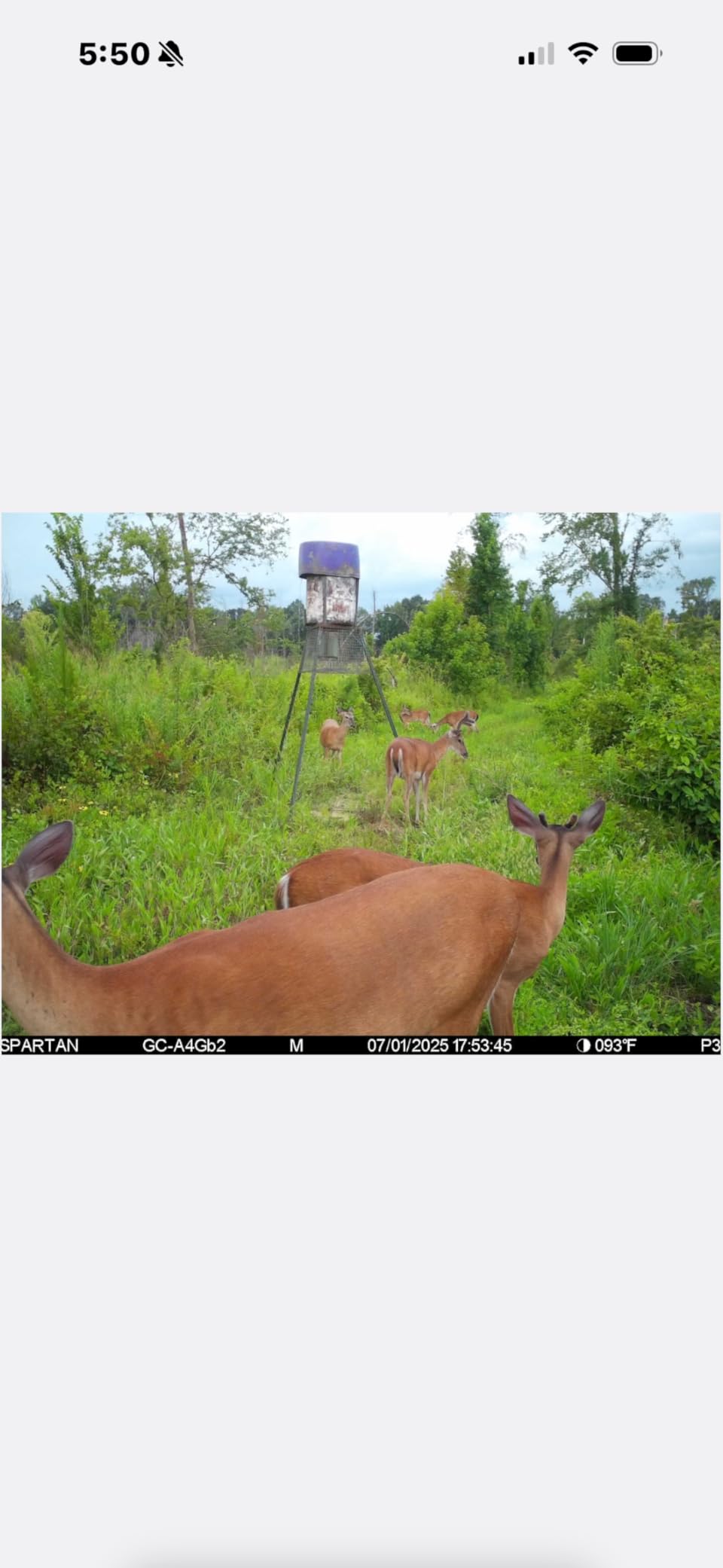 Spartan Camera Gocam 4G LTE Trail Camera, Free Roaming in US, Remotely Update Camera Settings, Fully Configurable via App, HD Video, HD Photo, Blackout Flash, Hunting (1, Multi-Carrier) customer photo 1