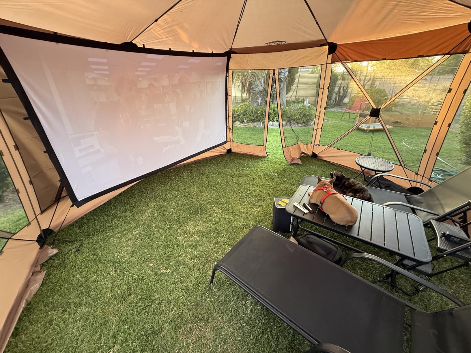 COBIZI 15x15 FT Pop Up Gazebo, Canopy Tent, Large Gazebos with Sidewalls, Screened in Gazebo customer photo 1