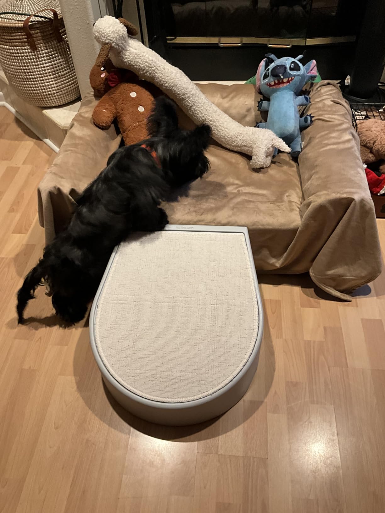 Pet Gear Stramp Stair and Ramp Combination for Dogs/Cats, Easy Step, Lightweight/Portable, Sturdy, Easy Assembly (No Tools Required), Dark Brown customer photo 2