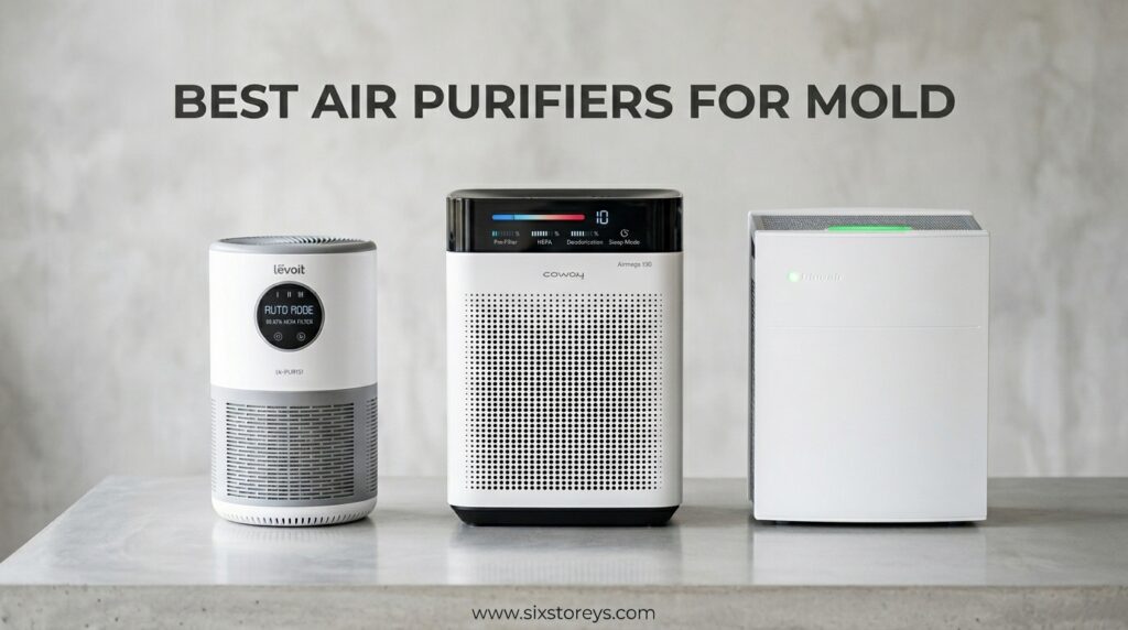 The current image has no alternative text. The file name is: Best-Air-Purifiers-for-Mold.jpeg