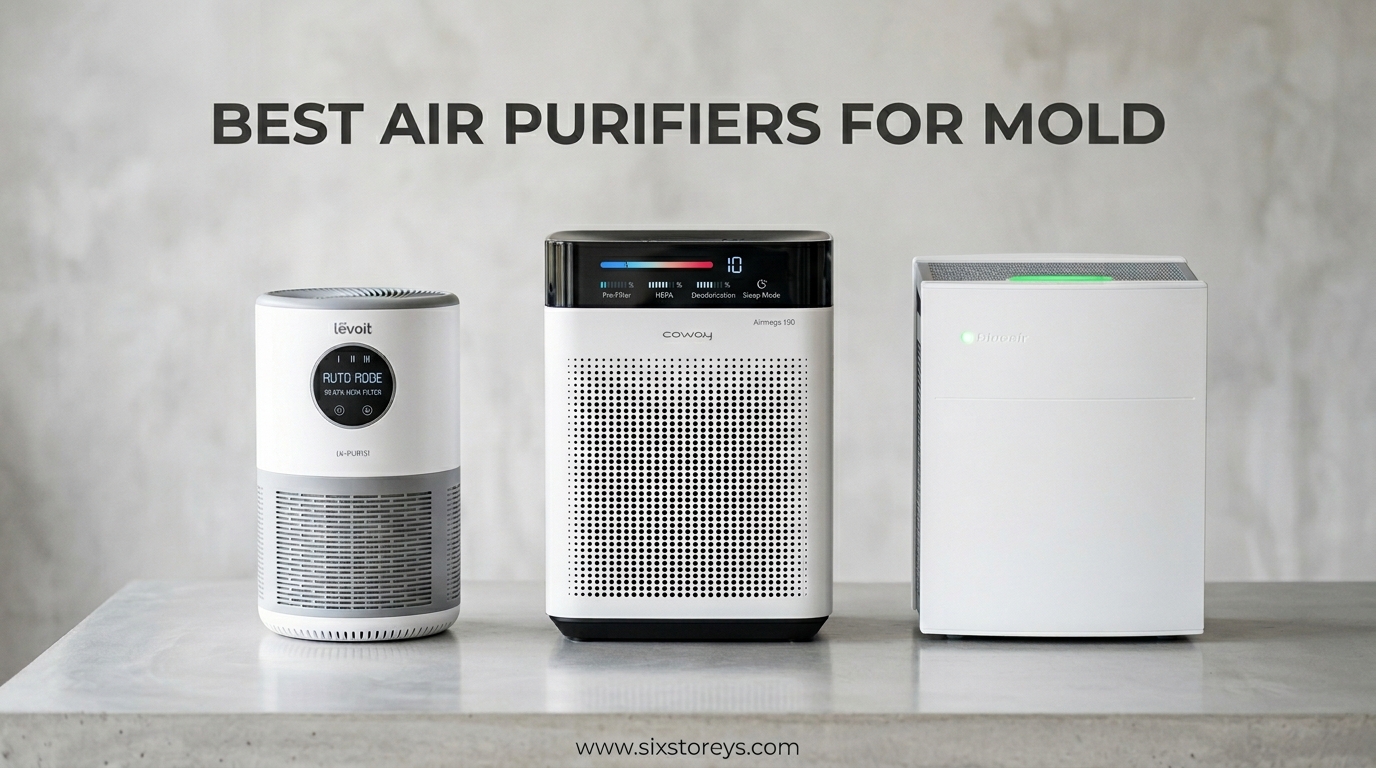 Best Air Purifiers for Mold