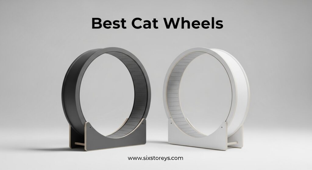 The current image has no alternative text. The file name is: Best-Cat-Wheels.jpeg