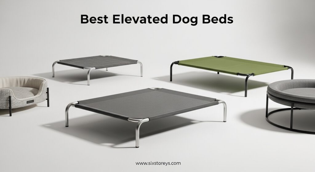 The current image has no alternative text. The file name is: Best-Elevated-Dog-Beds.jpeg