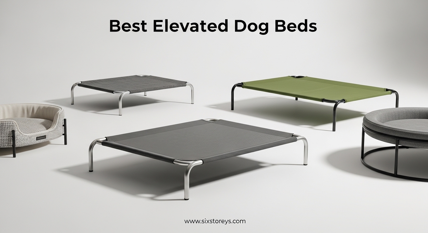Best Elevated Dog Beds