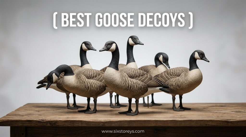 The current image has no alternative text. The file name is: Best-Goose-Decoys.jpeg