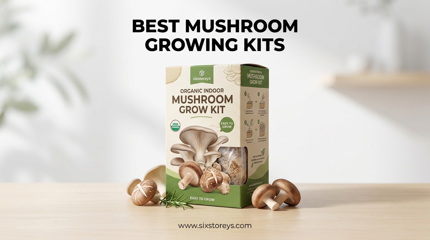 Best Mushroom Growing Kits