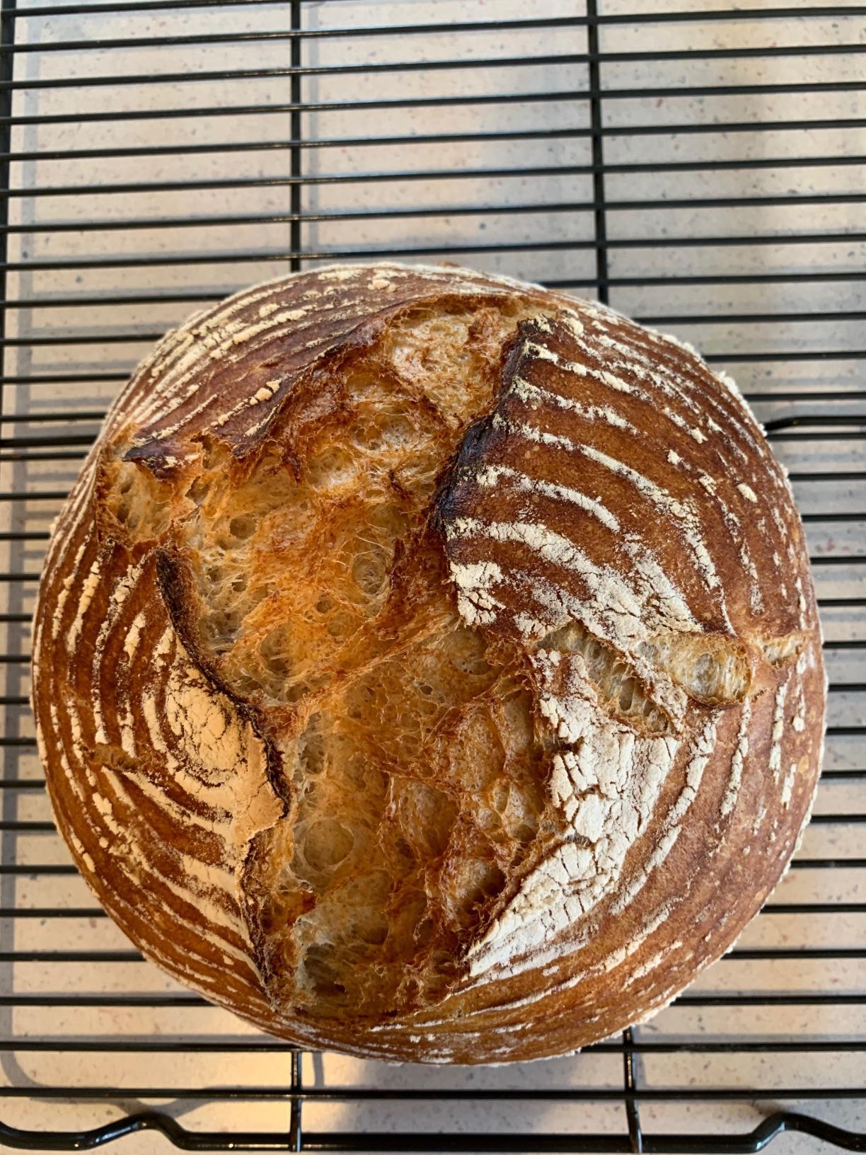Frieling Round Proofing Basket, Brotform Bread Rising Banneton and Serving Basket, 10-Inch customer photo 2
