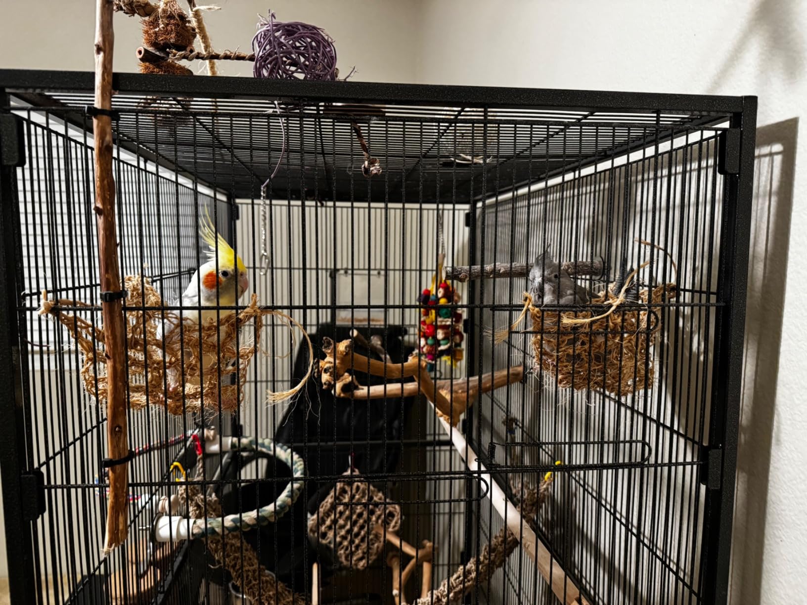 Prevue Hendryx Pet Products Wrought Iron Flight Cage - Big Rolling Bird Cage for Parakeets, Cockatiels, Conures, Lovebirds, Canaries, Finches, Parrotlets, & Caiques, 5 Ft - X-Large, Hammertone Black customer photo 2
