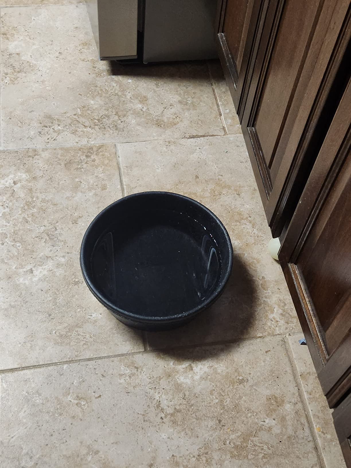 Fortex Feeder Pan for Dogs/Cats and Horses, 4-Quart customer photo 2