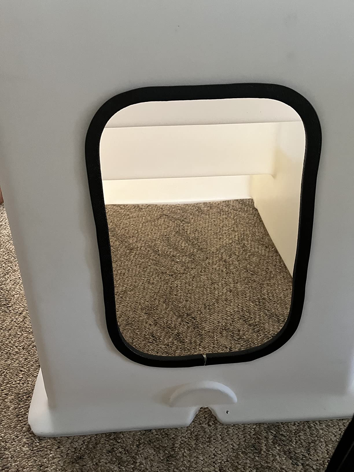 Taylor Made Products StepSafe Dock Steps customer photo 1