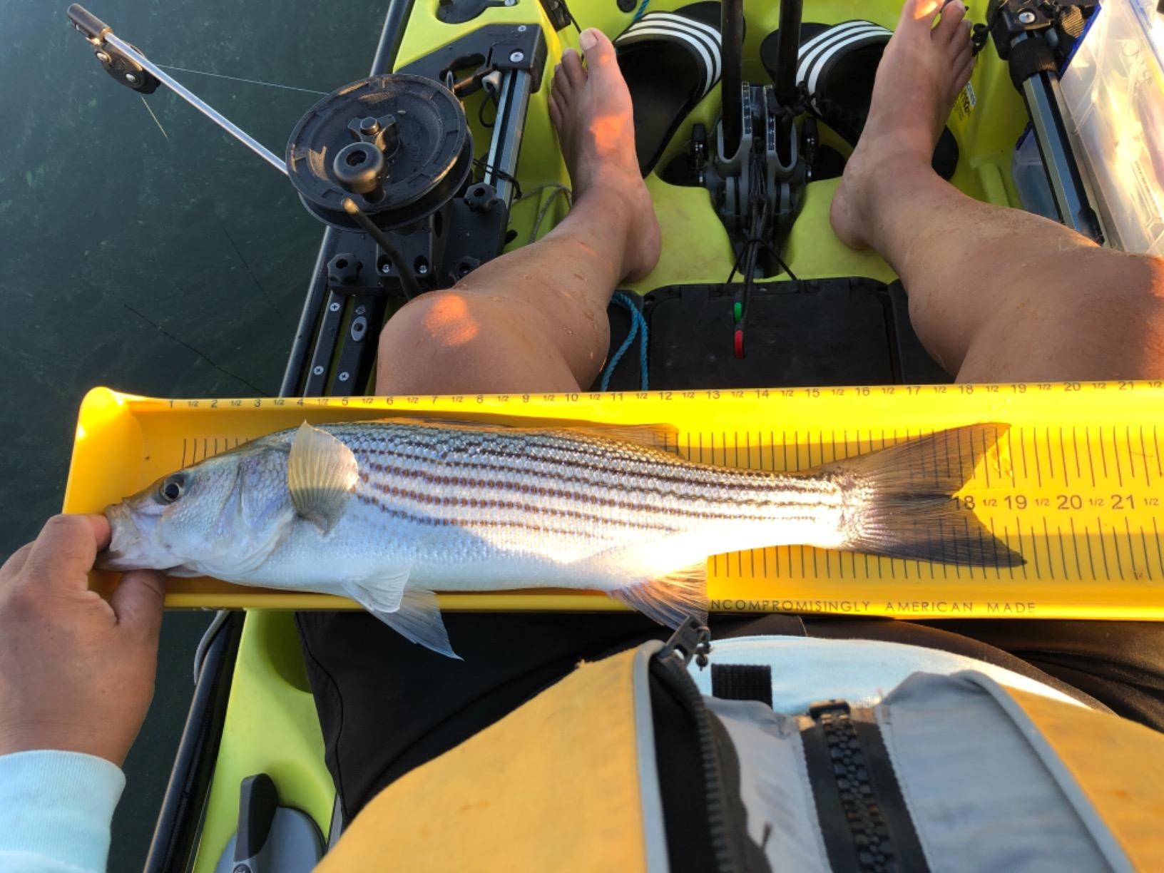 Scotty #1073DP Laketroller Manual Downrigger, Post Mount, Display Packed customer photo 2