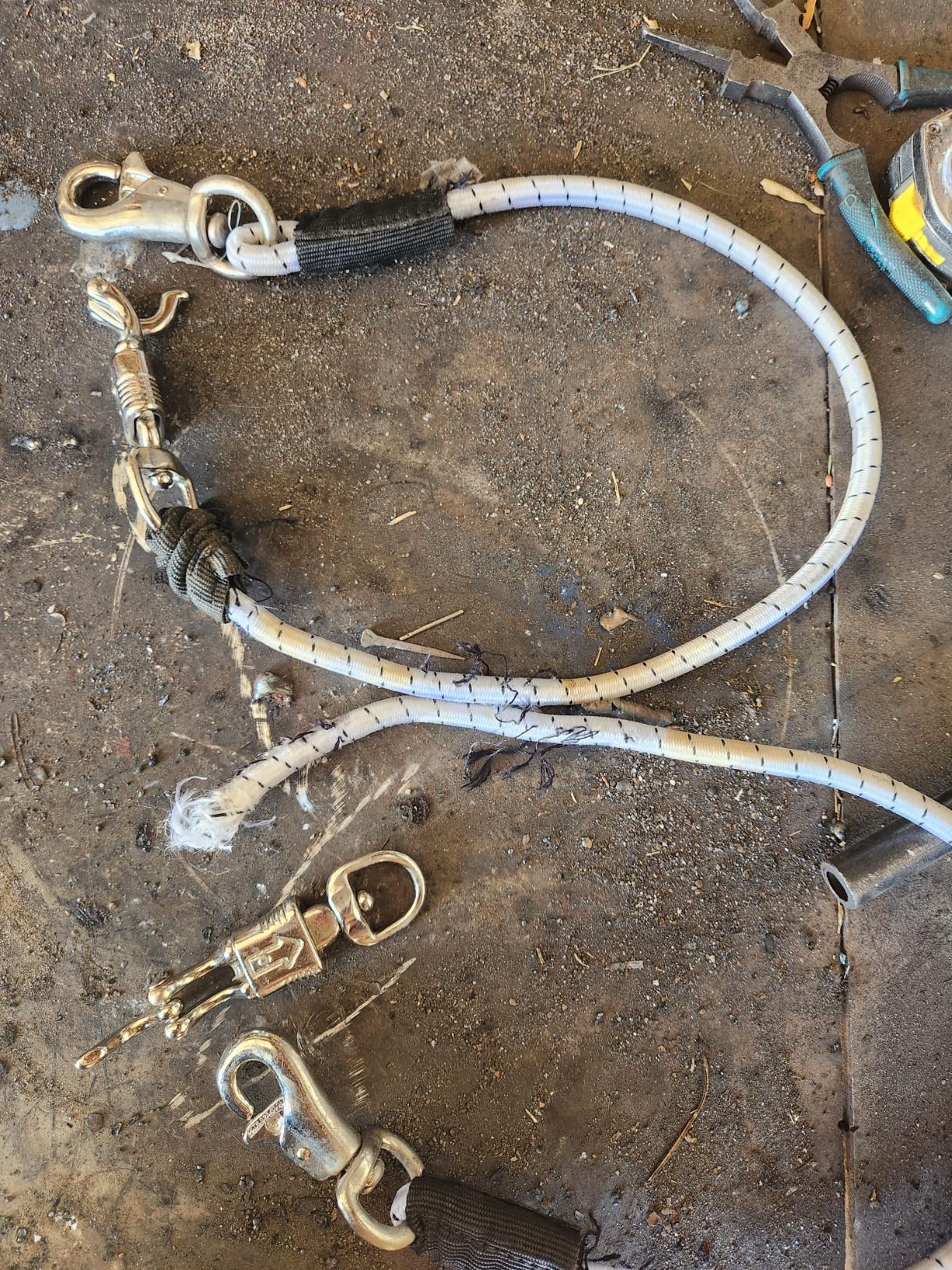 Tough 1 Bungee Trailer Tie customer photo 1