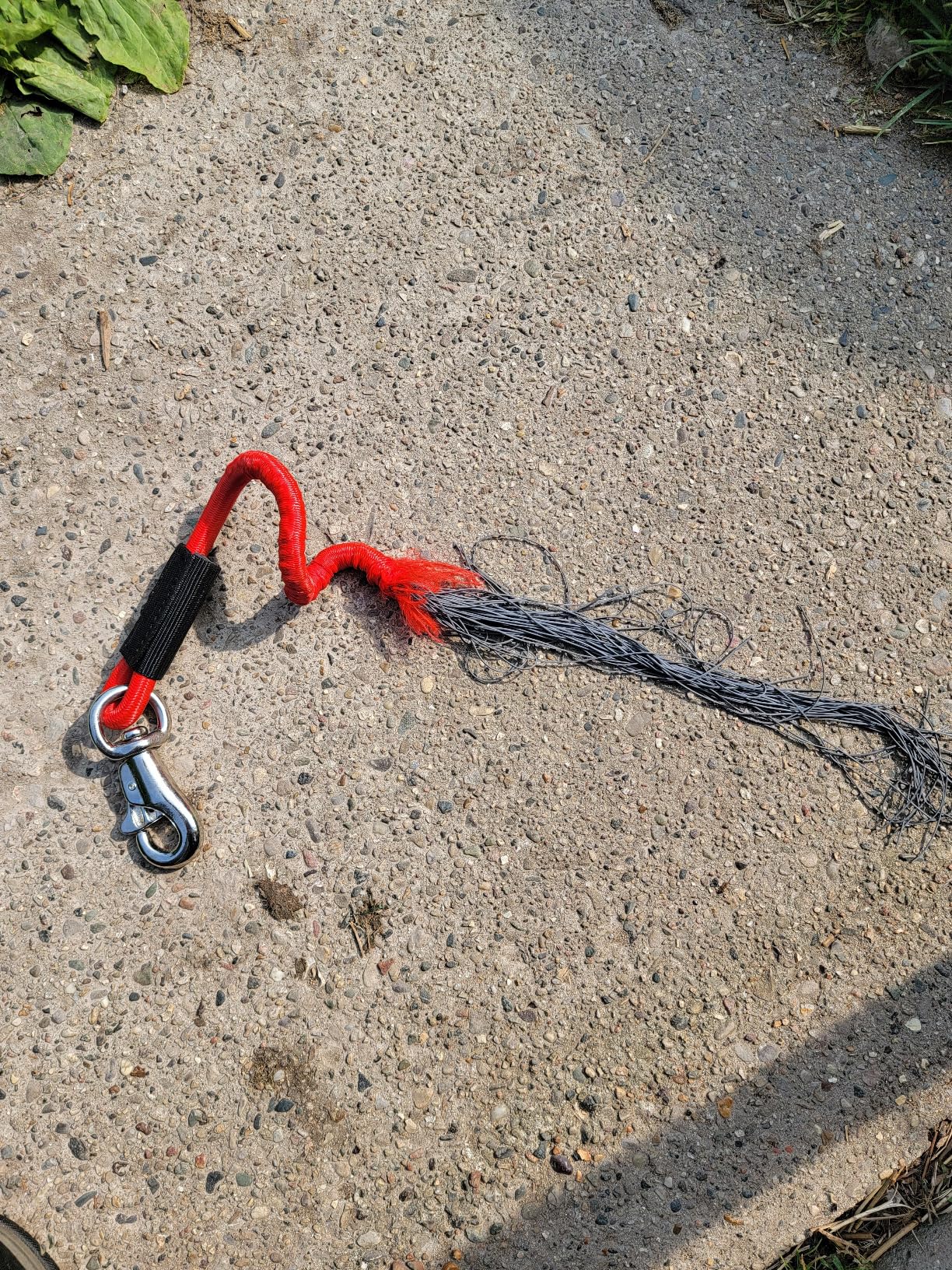 Tough 1 Bungee Trailer Tie customer photo 2
