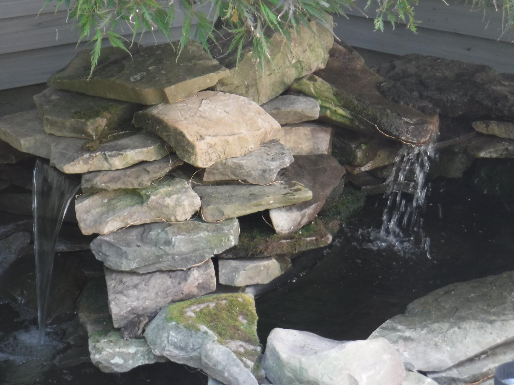Tetra Water Garden Pond Pump, 1000 GPH, Powers Waterfalls, Filters and Fountains for Ponds 500 To 1000 Gallons customer photo 1