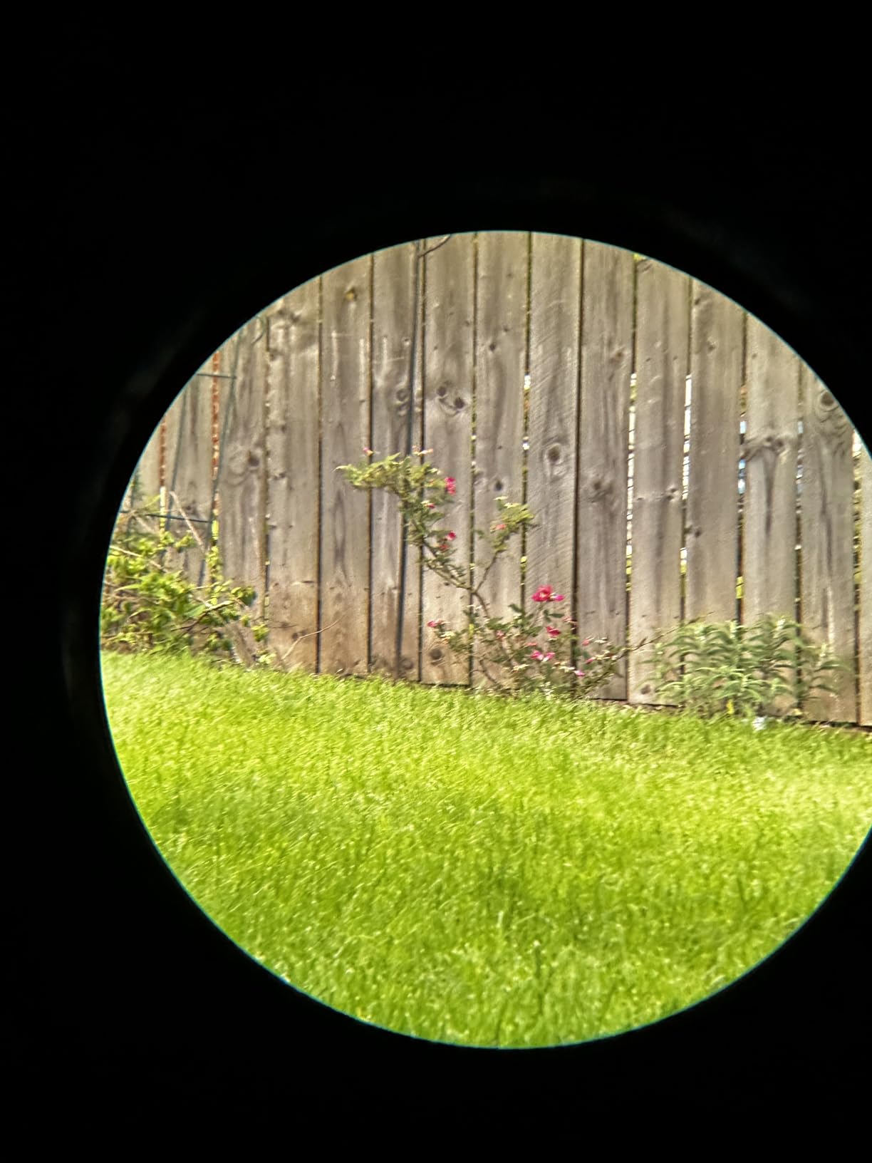 Vortex Optics Solo Monocular 10x25 - Adjustable Eyecup, Fully Multi-Coated Lenses, Rubber Armor, Non-Slip Grip, Fogproof, Waterproof - Unlimited, Unconditional Warranty customer photo 1