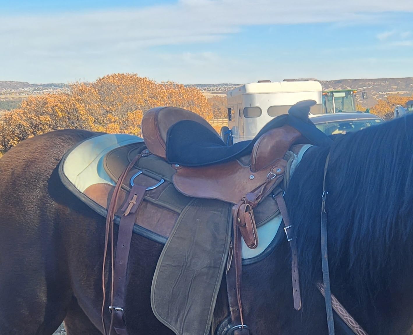 Weaver Equine Western Horse Saddle Pad, Mesh, Shock Absorbing Gel Saddle Pad Seat for Stable Riding and Spine Protection, Durable Equine Supplies customer photo 2