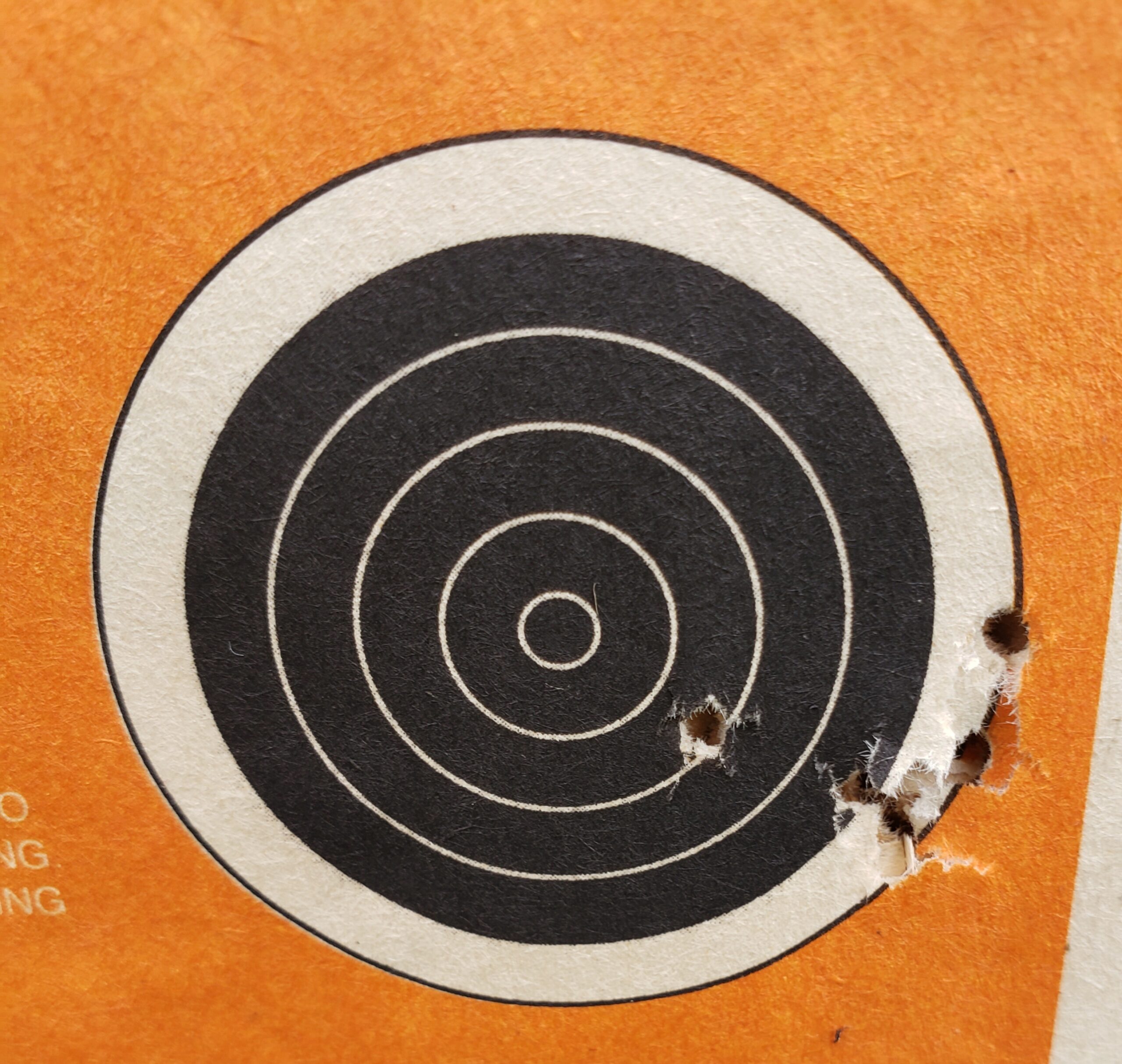Daisy, Model 25 Pump, Action BB Gun Air Rifle, Pump-Action Spring BB Gun that Pushes The .177 Caliber BB At 350 Feet Per Second, 990025-603 customer photo 1