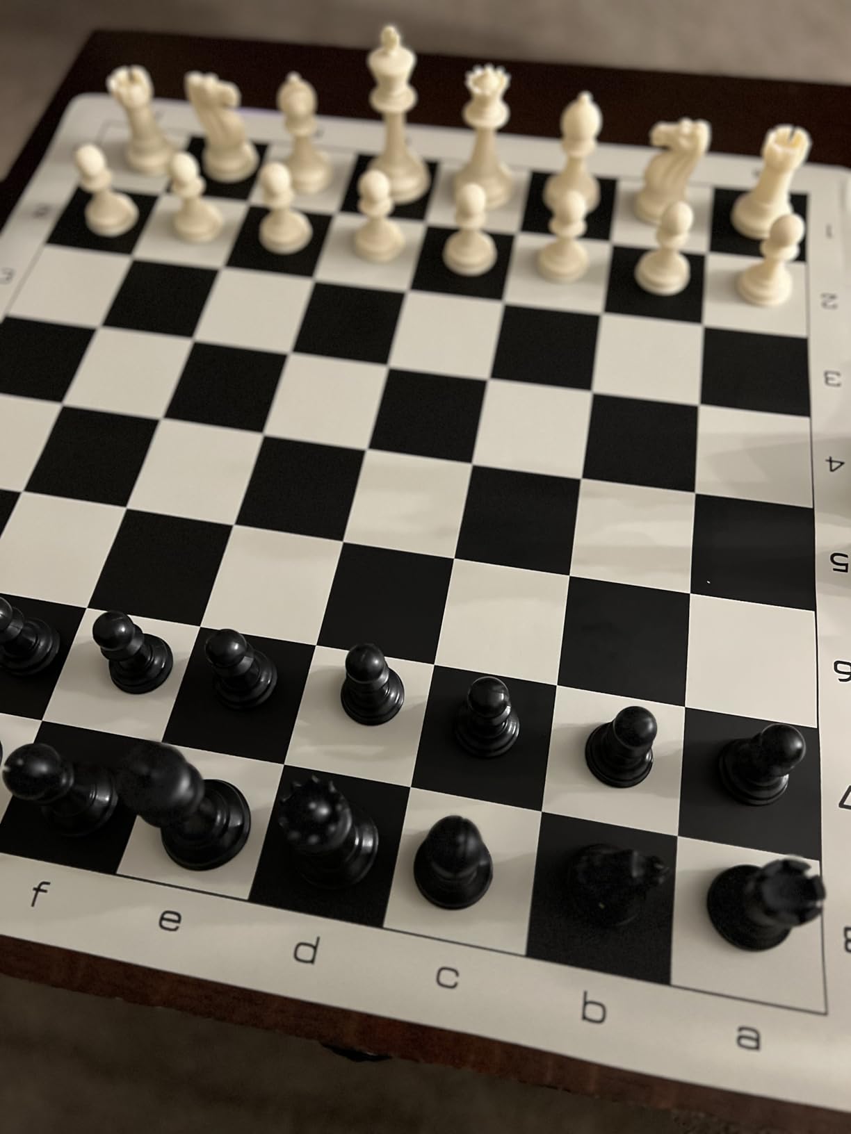 WE Games Best Value Tournament Chess Set - Roll Up Vinyl Chess Board customer photo 2