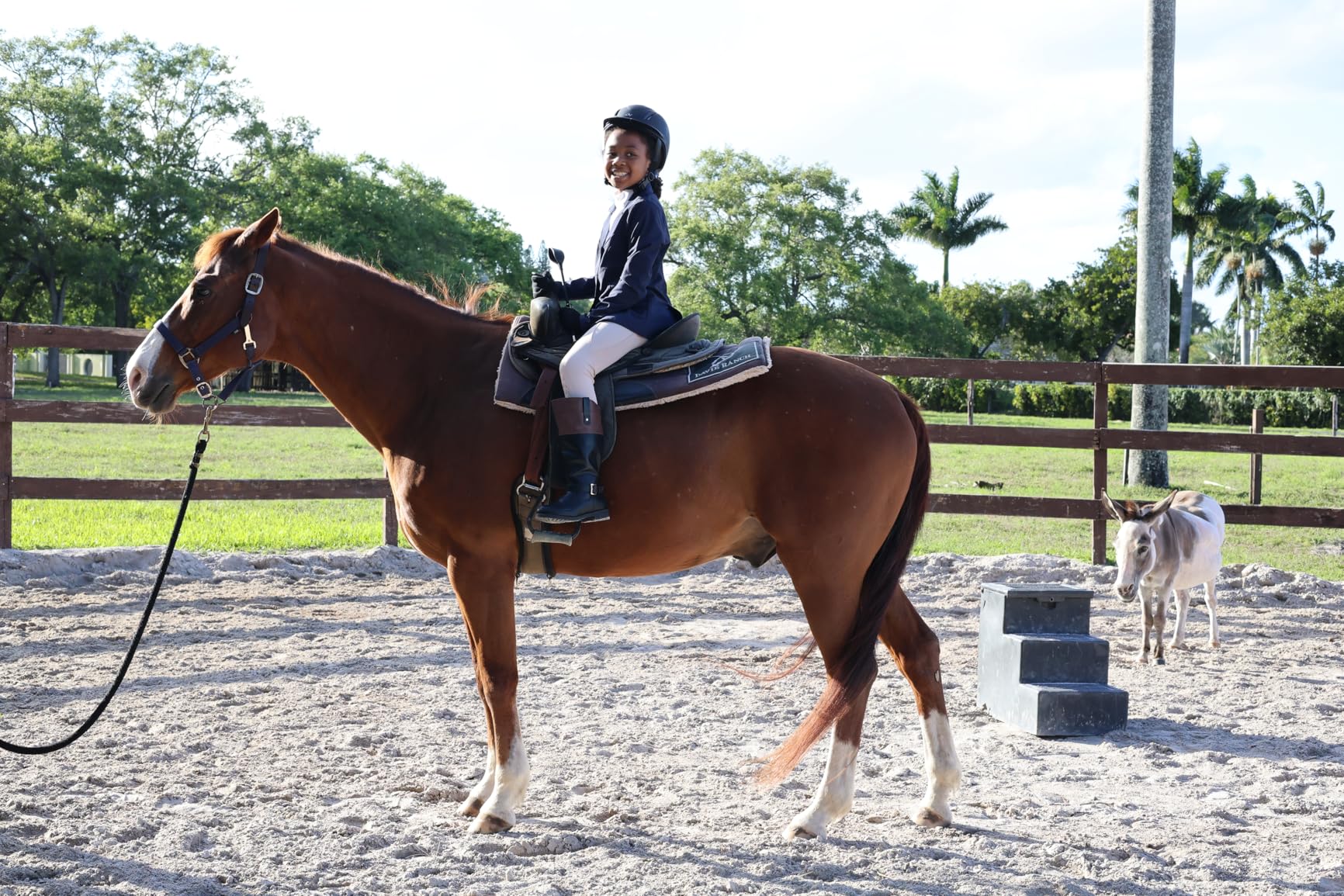 Ovation Adult Deluxe Schooler Riding Helmet - Lightweight Breathable Adjustable Equestrian Safety Helmet w/Removable Liner customer photo 1