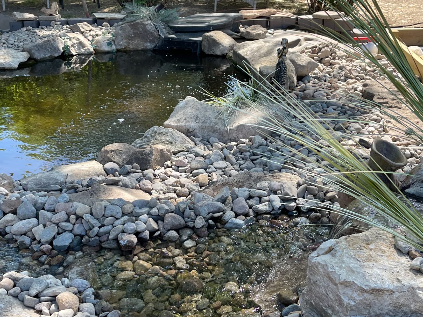 Little Giant SK5 5000 Gallon Per Hour Pond Skimmer, Black customer photo 2