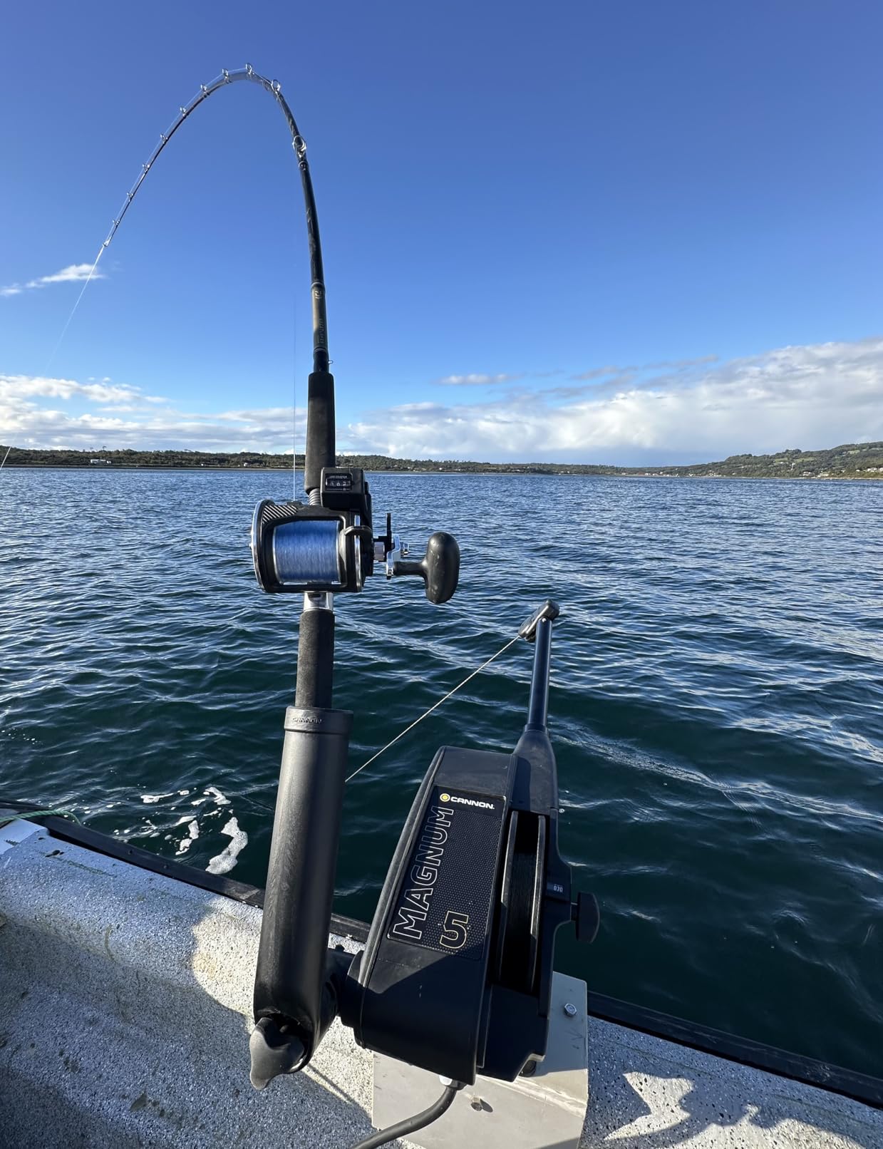 Cannon Magnum Series Electric Downriggers customer photo 2