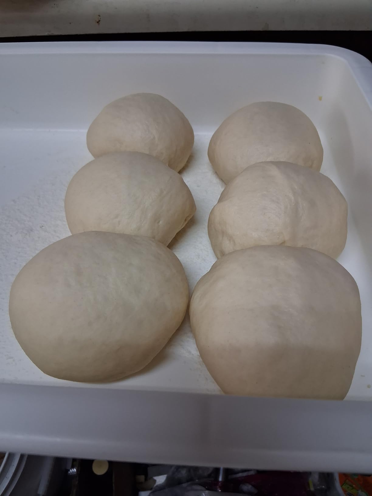 DoughMate Artisan Kit - 2 Pizza Dough Proofing Trays, 1 Lid, and Dough Scraper - Food Contact Certified, Stackable, Made in USA customer photo 1