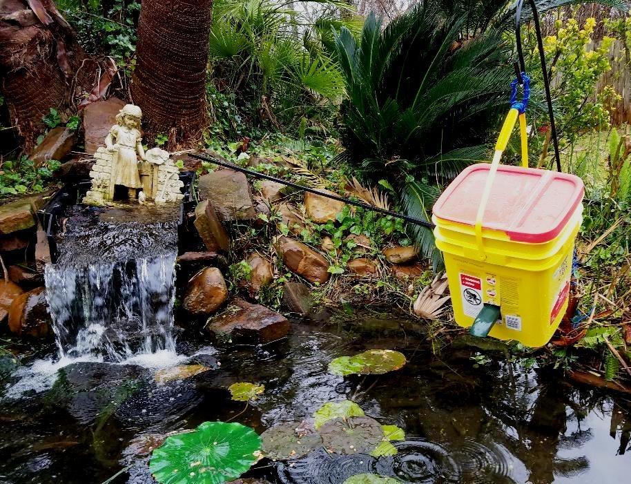 Fish Mate P7000 Automatic Pond Fish Feeder - Programmable LCD Timer, 6.5 lb Capacity, Adjustable Portions for Pellets & Sticks, Weather Resistant Outdoor Design customer photo 1