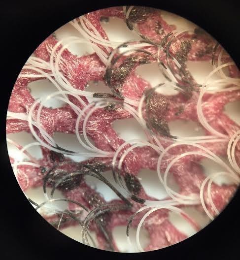 AmScope SE305R-PZ Forward Binocular Stereo Microscope, WF10x and WF20x Eyepieces, 10X-60X Magnification, 1X and 3X Objectives, Upper and Lower Halogen Light Source, Pillar Stand customer photo 2