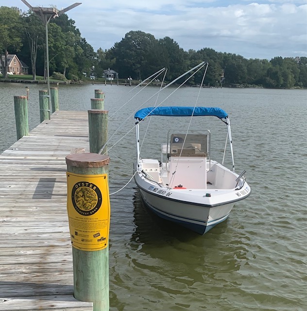 Dock Edge + Premium Mooring Whip Watercraft Docking System (Set of 2), 8' for Craft up to 18' or 2500 lbs customer photo 1