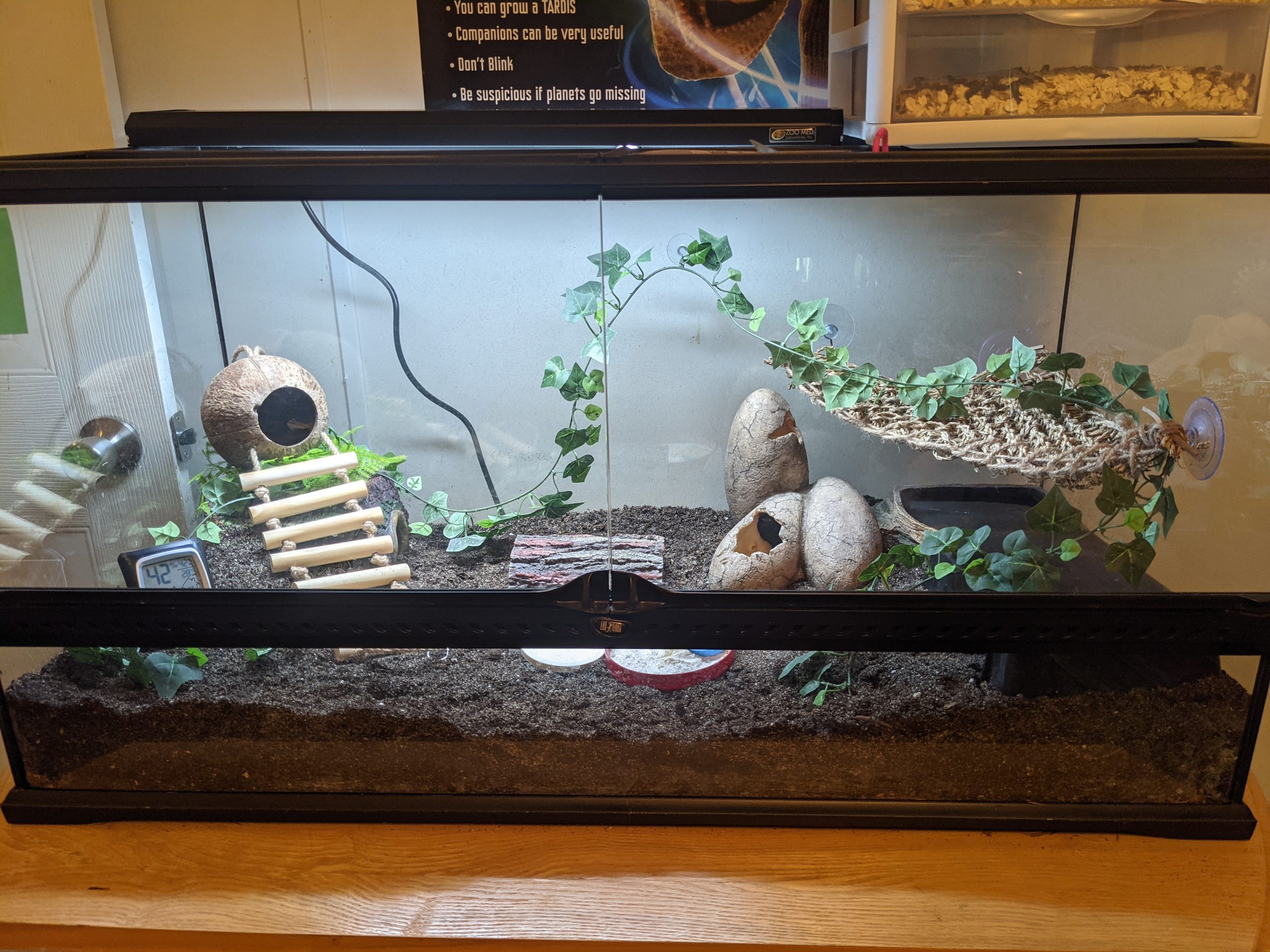 Reptisun T5 Ho Terrarium Hood 24 Inch customer photo 1