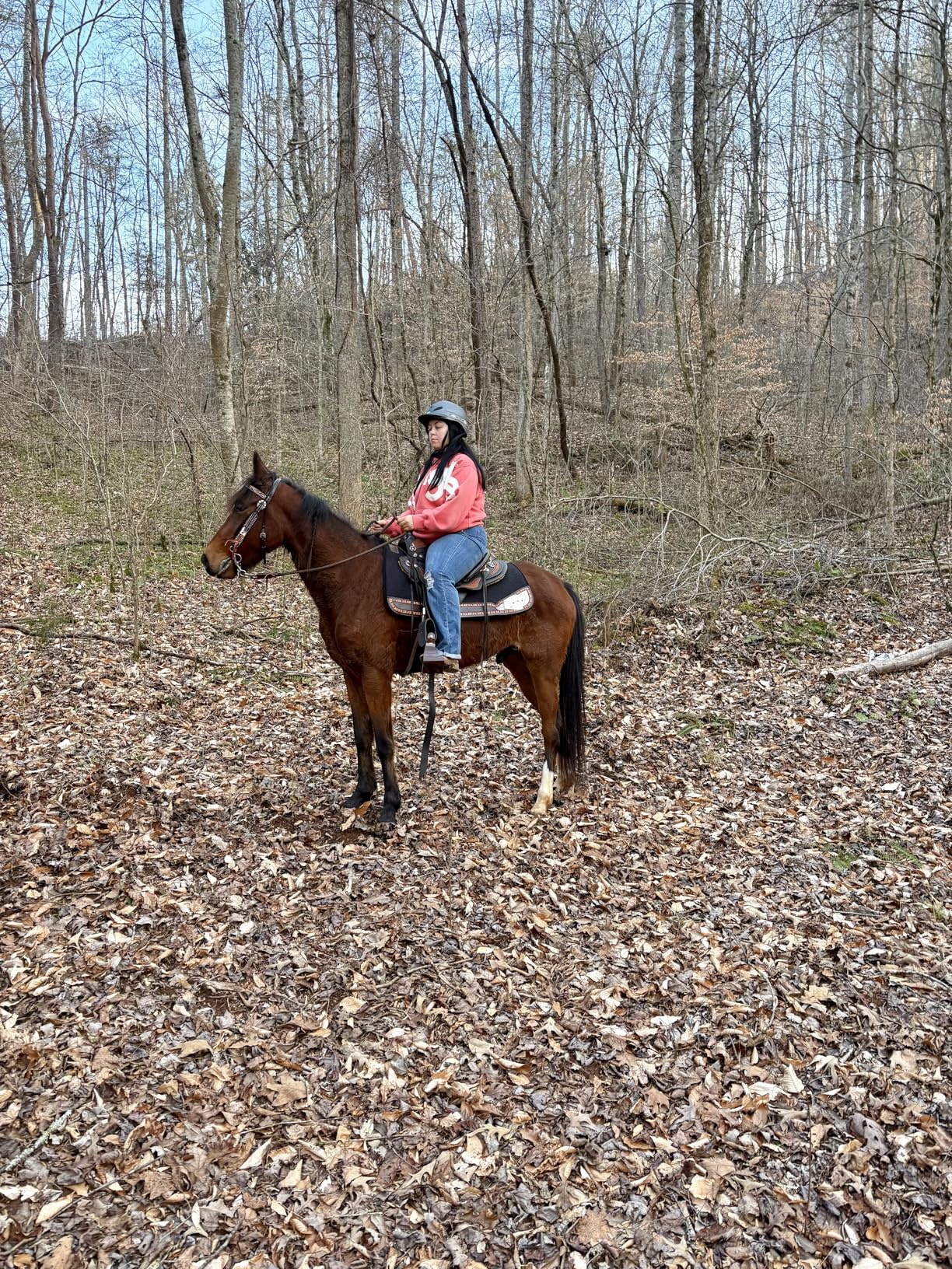 Troxel Rebel Bold Horse Riding Helmet, Low-Profile, Light, Adjustable Design, Safety Horseback Riding Gear customer photo 1