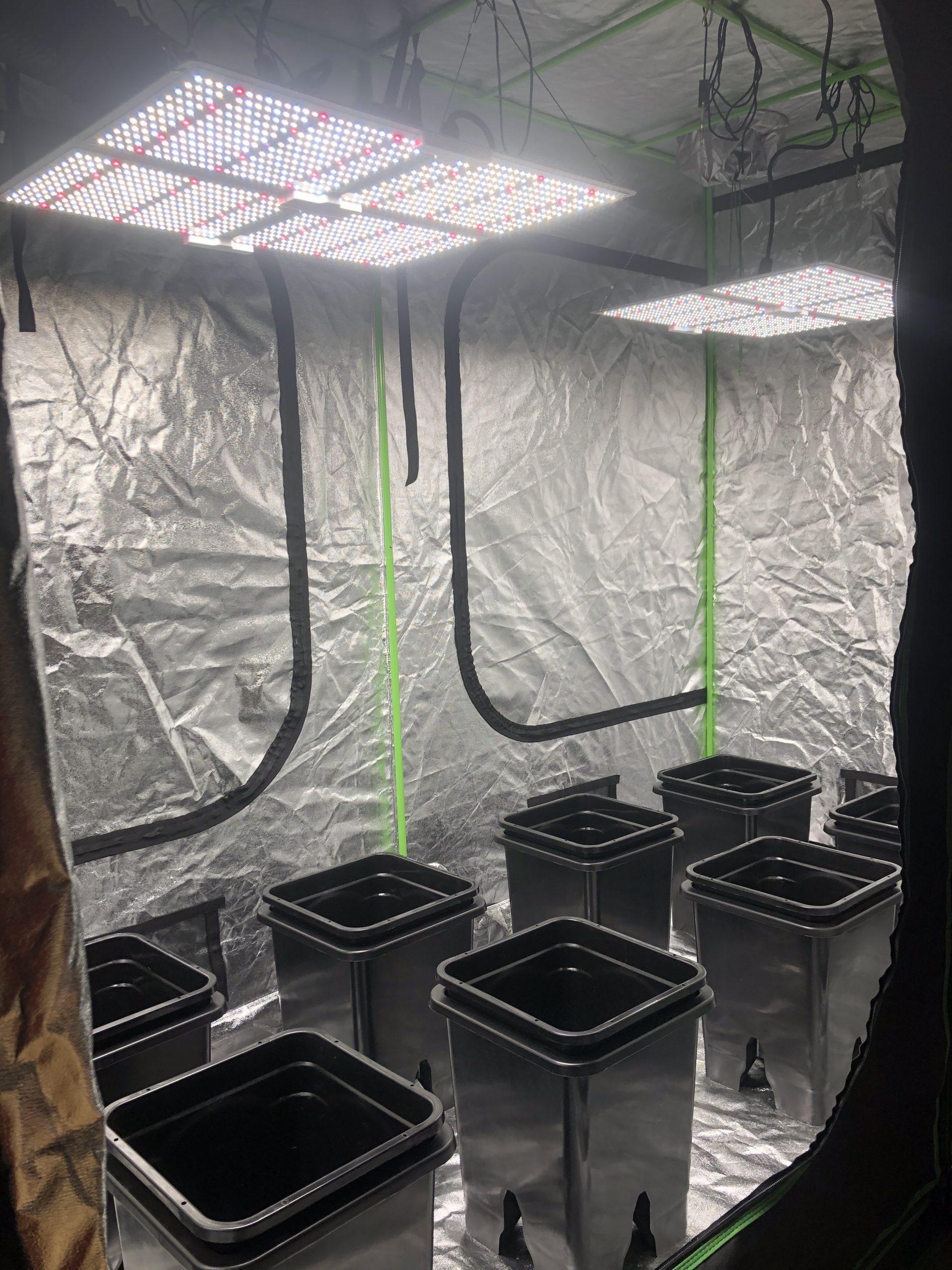 Active Aqua GFO7CB Hydroponic Electric Grow Flow Ebb System and Gro Controller Unit with 2 250GPH Pumps, Fittings, and 7 Gallon Controller Bucket customer photo 1