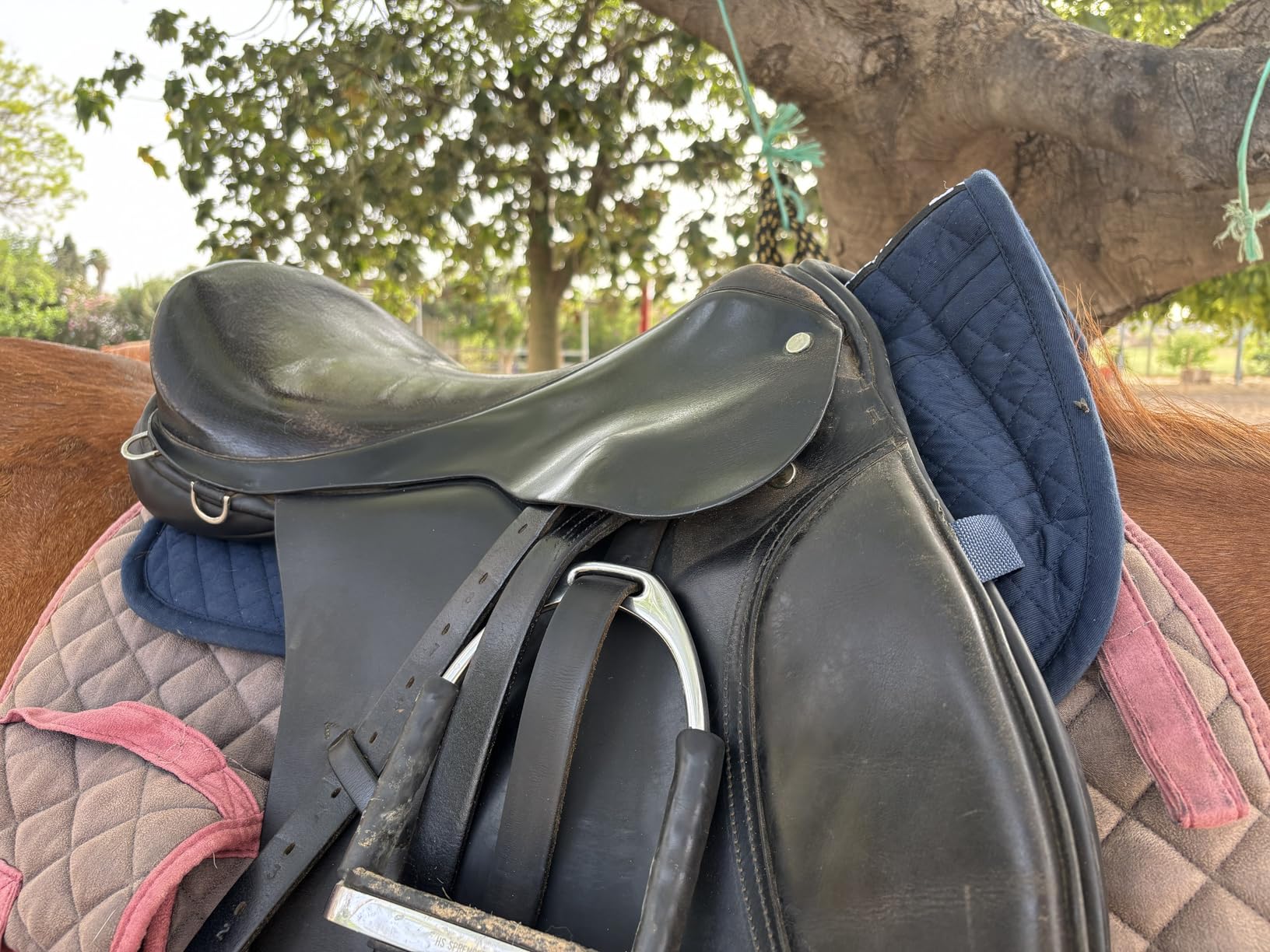 ECP Equine Comfort Products Adjustable Shock Absorbing Memory Foam Half Saddle Pad, Injury Prevention & Pressure Relief, Customizable Fit, Breathable for All Riding Styles customer photo 1