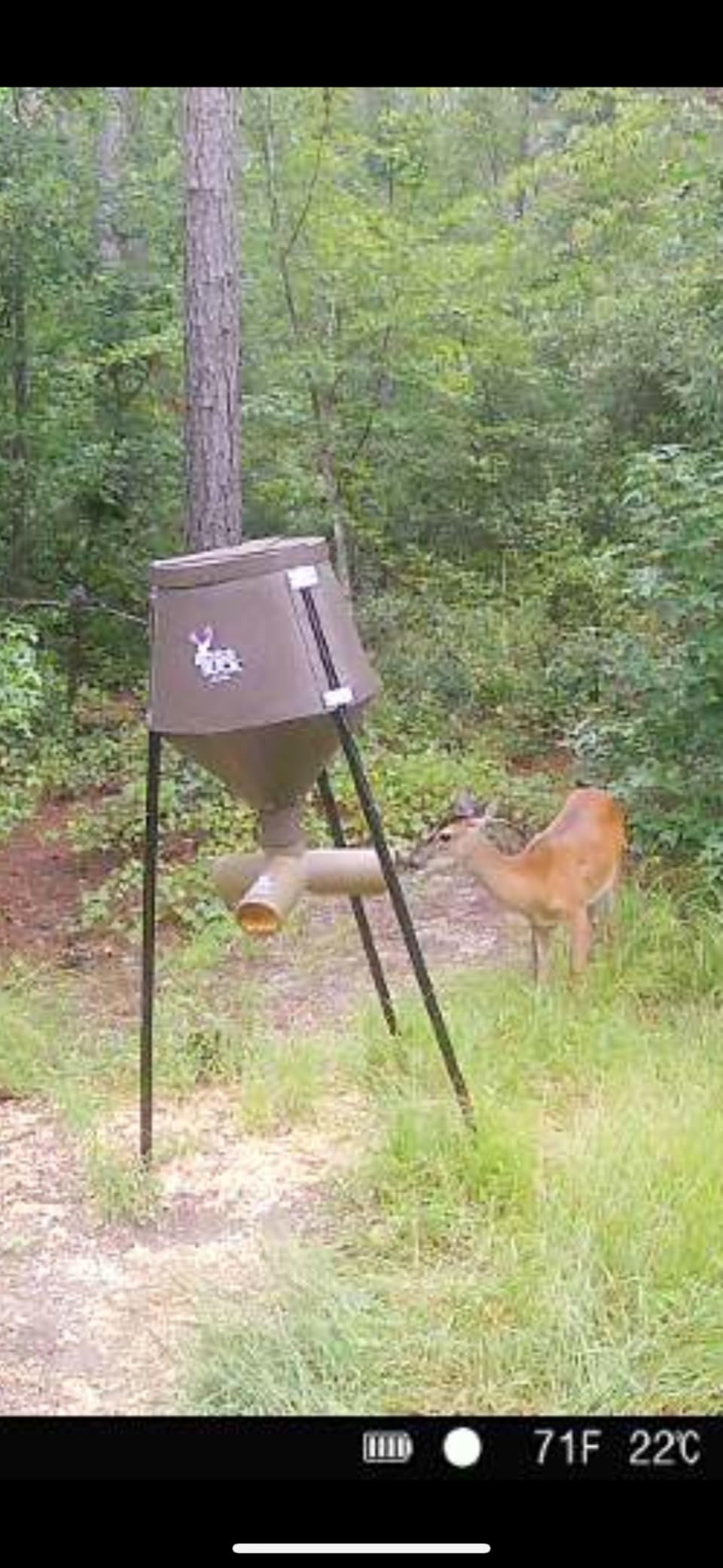 Boss Buck Gravity Deer Feeder for Game & Hunting w/Adjustable Flow, 200 lb Corn Capacity - All-Season Automatic Wildlife Feeding System with 75-Inch Galvanized Legs and 3-Way Feed Ports customer photo 1