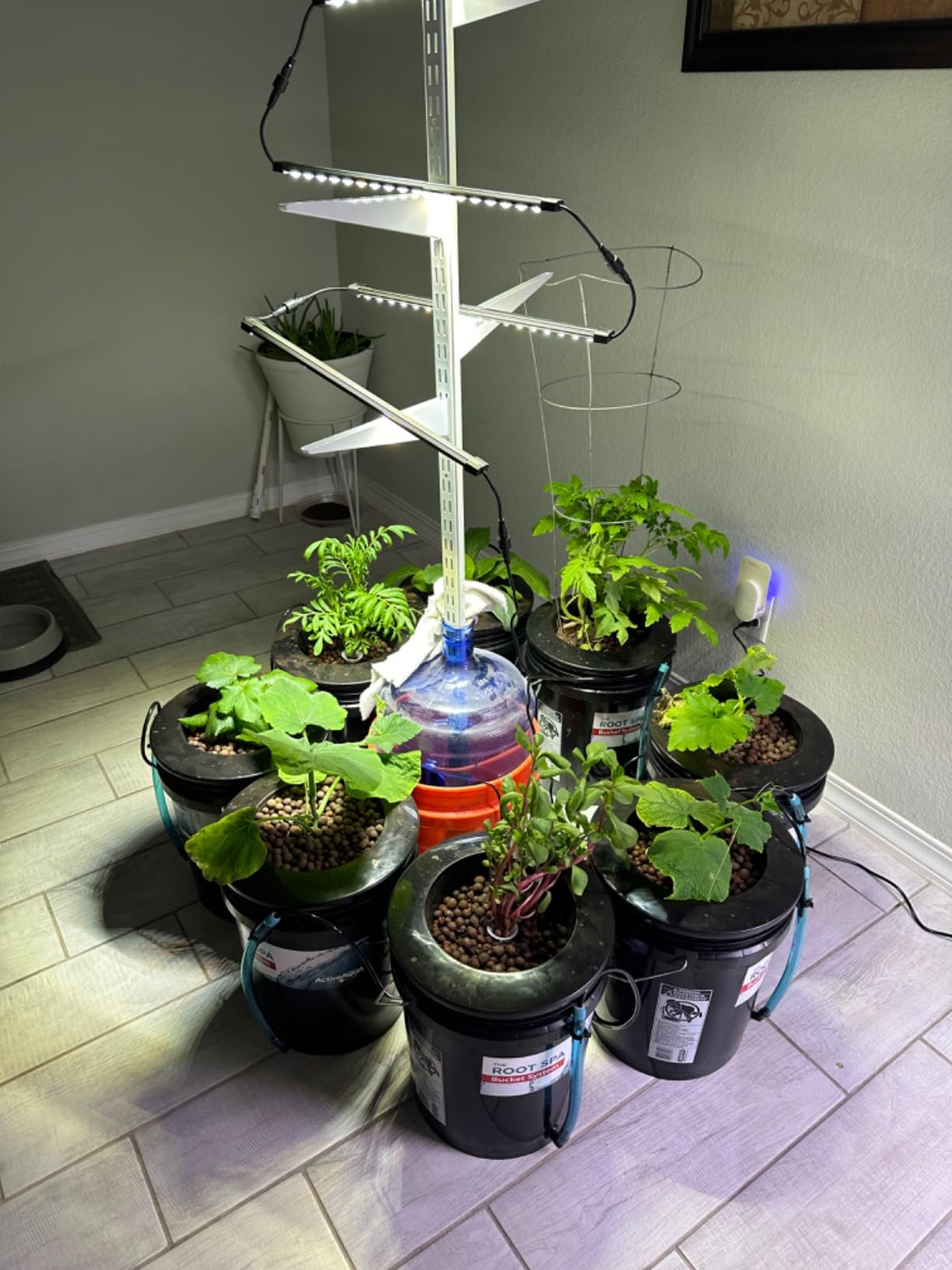 Hydrofarm RS5GALSYS Root Spa Deep Water Culture Bucket System, 5 Gallon, black customer photo 1