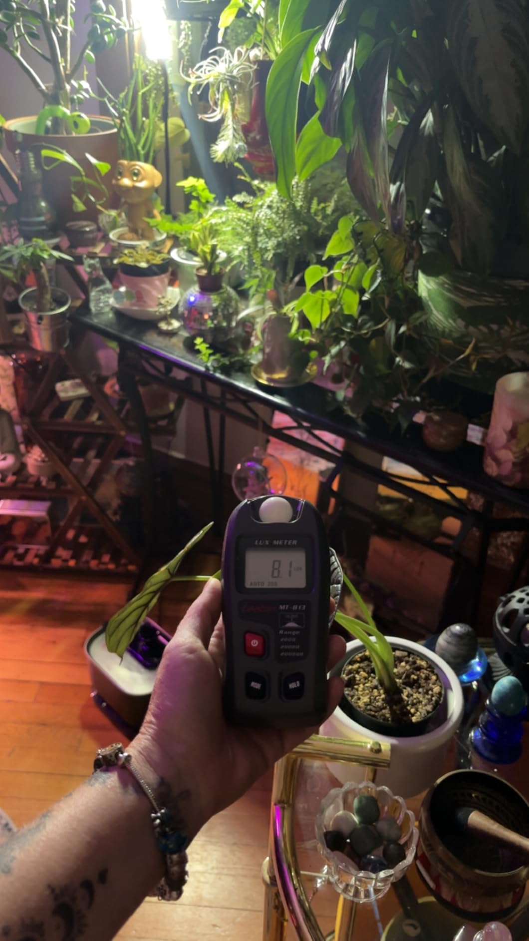 Leaton Light Meter, Digital Luxmeter, Digital Illuminance Meter, Range up to 200,000 Lux, Luxmeter with LCD Display for Plants, Car Headlights, Home & Office LEDs Light Photograph customer photo 1