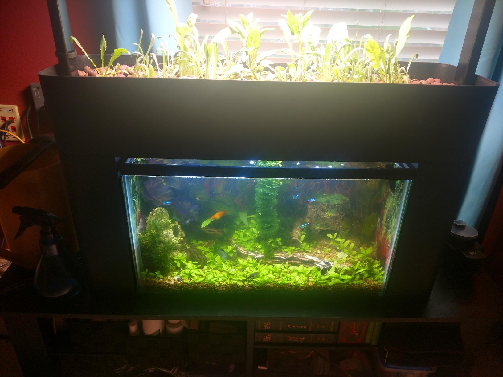 AquaSprouts Aquaponics Garden, Self-Sustaining Desktop Aquarium Hydroponics Ecosystem Kit, fits Standard 10 Gallon Aquariums customer photo 1