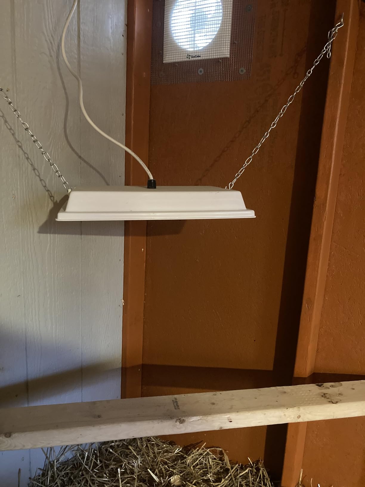SWEETER HEATER Infrared Heater for Chicks & Pets, Overhead 11x16, 50 Watt customer photo 1