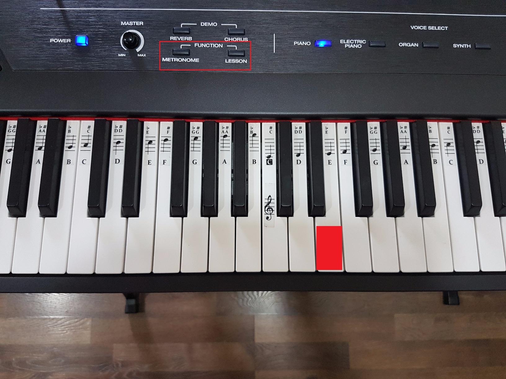 Alesis Recital - 88 Key Digital Piano Keyboard with Semi-Weighted Keys, 2x20W Speakers, 5 Voices, Split, Layer and Lesson Mode, FX and Piano Lessons customer photo 1