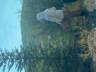 Bee Jacket with Veil - Natural Canvas Bee Suit Jacket with Elastic Waist & Cuffs, YKK Brass Zippers, 3 Utility Pockets. Removable Hood Interchangeable with Forest Beekeeping Suit.(Large) customer photo 2